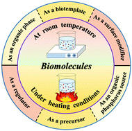 Graphical abstract: Biomolecule-assisted green synthesis of nanostructured calcium phosphates and their biomedical applications