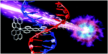 Graphical abstract: Transition metal compounds as cancer radiosensitizers