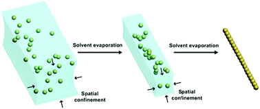 Graphical abstract: Recent advances in one-dimensional assembly of nanoparticles