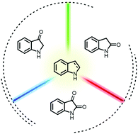 Graphical abstract: Visible light-mediated chemistry of indoles and related heterocycles