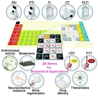 Graphical abstract: Emerging two-dimensional monoelemental materials (Xenes) for biomedical applications