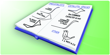 Graphical abstract: On decomposition, degradation, and voltammetric deviation: the electrochemist's field guide to identifying precatalyst transformation