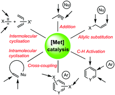 Graphical abstract: Metal-catalyzed regiodivergent organic reactions