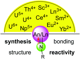 Graphical abstract: Rare-earth metal and actinide organoimide chemistry