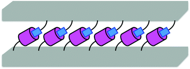 Graphical abstract: Adhesive supramolecular polymeric materials constructed from macrocycle-based host–guest interactions