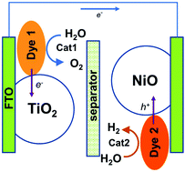 Graphical abstract: Dye sensitized photoelectrolysis cells