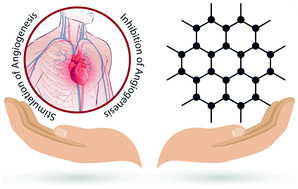 Graphical abstract: Nanotechnology for angiogenesis: opportunities and challenges