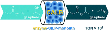 Graphical abstract: Supported ionic liquid phase (SILP) facilitated gas-phase enzyme catalysis – CALB catalyzed transesterification of vinyl propionate