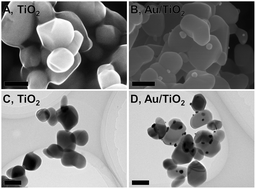 Graphical abstract: Charge behavior in a plasmonic photocatalyst composed of Au and TiO2