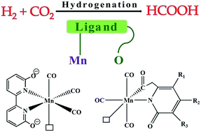 Graphical abstract: Mechanistic insights into catalytic CO2 hydrogenation using Mn(i)-complexes with pendant oxygen ligands