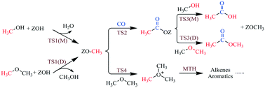 Graphical abstract: Mechanistic insights into the catalytic role of various acid sites on ZSM-5 zeolite in the carbonylation of methanol and dimethyl ether