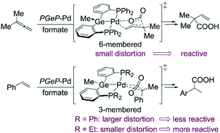 Graphical abstract: Origin of ligand effects on reactivities of pincer-Pd catalyzed hydrocarboxylation of allenes and alkenes with formate salts: a computational study