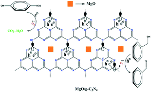 Graphical abstract: Mechanistic insights into 4-nitrophenol degradation and benzyl alcohol oxidation pathways over MgO/g-C3N4 model catalyst systems