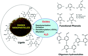 Graphical abstract: Synthesis of CoFeO mixed oxides via an alginate gelation process as efficient heterogeneous catalysts for lignin depolymerization in water