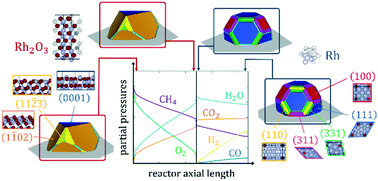 Graphical abstract: Prediction of morphological changes of catalyst materials under reaction conditions by combined ab initio thermodynamics and microkinetic modelling