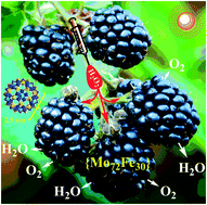 Graphical abstract: Visible-light driven catalase-like activity of blackberry-shaped {Mo72Fe30} nanovesicles: combined kinetic and mechanistic studies