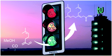 Graphical abstract: Palladium-catalysed carboxytelomerisation of β-myrcene to highly branched C21-esters