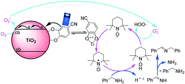 Graphical abstract: Merging the catechol–TiO2 complex photocatalyst with TEMPO for selective aerobic oxidation of amines into imines