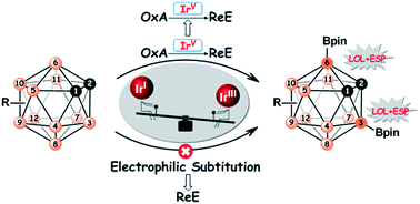 Graphical abstract: Theoretical investigations of the Ir-catalyzed direct borylation of B(3,6)–H of o-carborane: the actual catalyst, mechanism, and origin of regioselectivity