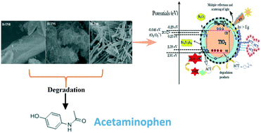 Graphical abstract: Degradation of acetaminophen in aqueous solution under visible light irradiation by Bi-modified titanate nanomaterials: morphology effect, kinetics and mechanism