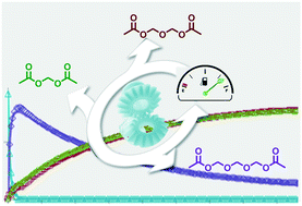 Graphical abstract: Reaction pathways at the initial steps of trioxane polymerisation