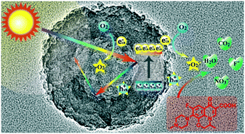 Graphical abstract: Nanopore enriched hollow carbon nitride nanospheres with extremely high visible-light photocatalytic activity in the degradation of aqueous contaminants of emerging concern