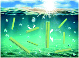 Graphical abstract: Synthesis of MnxCd1−xS nanorods and modification with CuS for extraordinarily superior photocatalytic H2 production