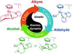 Graphical abstract: One catalyst, multiple processes: ligand effects on chemoselective control in Ru-catalyzed anti-Markovnikov reductive hydration of terminal alkynes