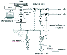 Graphical abstract: Sorption and condensation of higher hydrocarbons in a Fischer–Tropsch catalyst