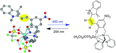 Graphical abstract: trans to cis photo-isomerization in merocyanine dysprosium and yttrium complexes