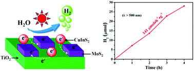 Graphical abstract: High light harvesting efficiency CuInS2 quantum dots/TiO2/MoS2 photocatalysts for enhanced visible light photocatalytic H2 production