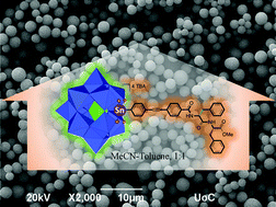 Graphical abstract: Self-assembly study of nanometric spheres from polyoxometalate-phenylalanine hybrids, an experimental and theoretical approach