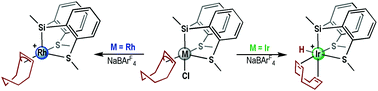 Graphical abstract: Alkene-alkyl interconversion: an experimental and computational study of the olefin insertion and β-hydride elimination processes