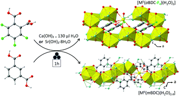 Graphical abstract: Ca-Tetrafluorophthalate and Sr-isophthalate: mechanochemical synthesis and characterization in comparison with other Ca-and Sr-coordination polymers