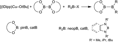 Graphical abstract: Unsymmetrical diborane(4) derivatives by copper mediated B–B coupling