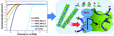 Graphical abstract: One-dimensional hierarchical MoO2–MoSx hybrids as highly active and durable catalysts in the hydrogen evolution reaction