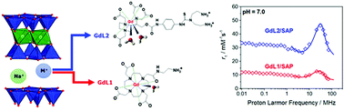 Graphical abstract: Novel paramagnetic clays obtained through intercalation of Gd3+-complexes