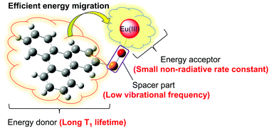 Graphical abstract: A highly luminescent Eu(iii) complex based on an electronically isolated aromatic ring system with ultralong lifetime