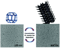 Graphical abstract: Supramolecular arrays by the self-assembly of terpyridine-based monomers with transition metal ions