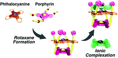 Graphical abstract: Programmable arrangement of metal ions in a cofacially stacked assembly of porphyrinoids toward molecular tags