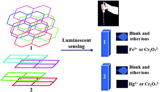 Graphical abstract: Two MOFs as dual-responsive photoluminescence sensors for metal and inorganic ion detection