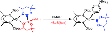 Graphical abstract: Diborane heterolysis: breaking and making B–B bonds at magnesium