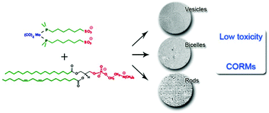 Graphical abstract: Metallosomes for biomedical applications by mixing molybdenum carbonyl metallosurfactants and phospholipids
