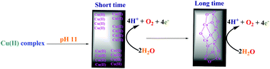 Graphical abstract: Water oxidation by a copper(ii) complex: new findings, questions, challenges and a new hypothesis