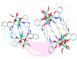 Graphical abstract: Creating capsules with cubanes