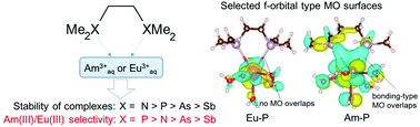 Graphical abstract: Computational chemical analysis of Eu(iii) and Am(iii) complexes with pnictogen-donor ligands using DFT calculations