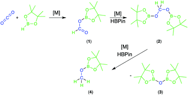 Graphical abstract: Cobalt catalysed reduction of CO2via hydroboration