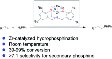 Graphical abstract: Hydrophosphination of alkenes and alkynes with primary phosphines catalyzed by zirconium complexes bearing aminophenolato ligands