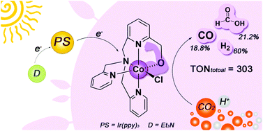 Graphical abstract: Photocatalytic reduction of CO2 to CO and formate by a novel Co(ii) catalyst containing a cis-oxygen atom: photocatalysis and DFT calculations