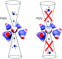 Graphical abstract: Square planar or octahedral after all? The indistinct solvation of platinum(ii)